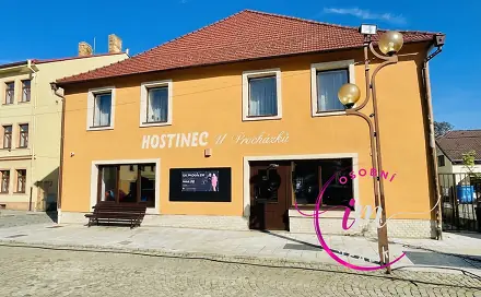 Pronájem komerčního objektu (jiného typu) 282 m², nám. 9. května, Luka nad Jihlavou, okres Jihlava