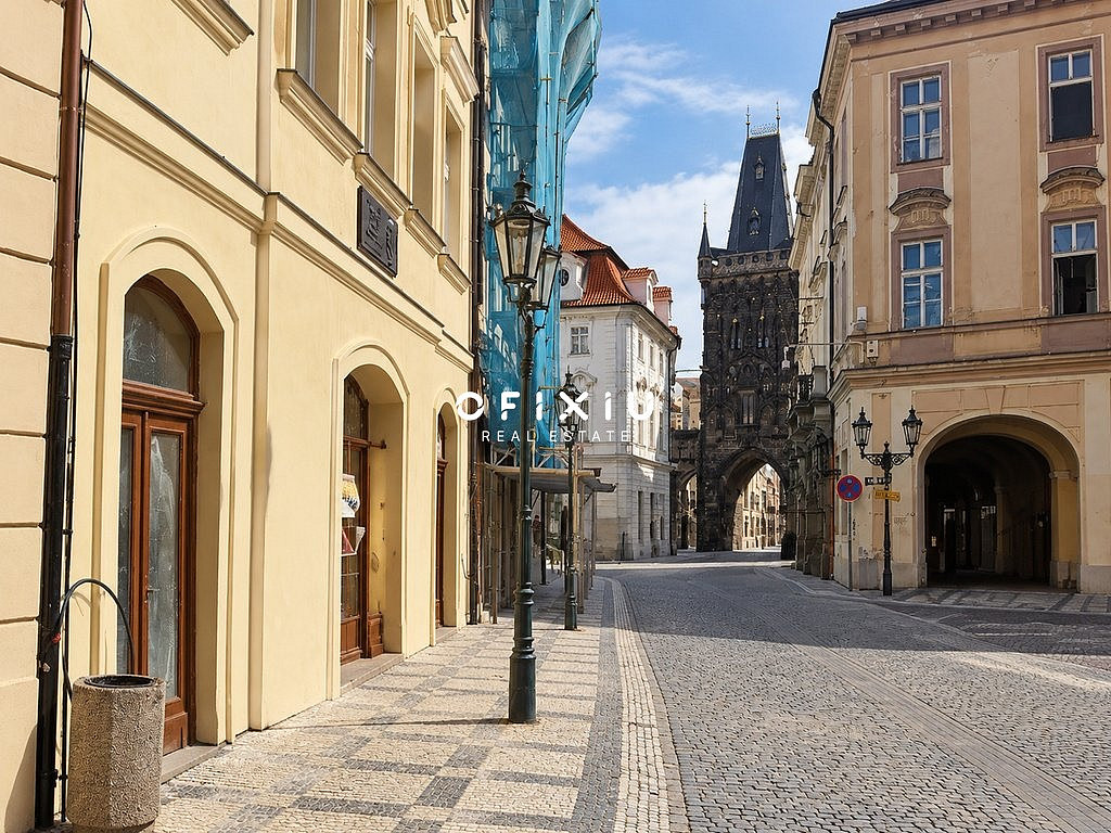 Pronájem obchodních prostor 460 m² – fotografie 2