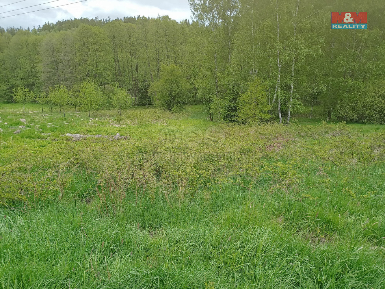 Prodej louky 6 962 m²