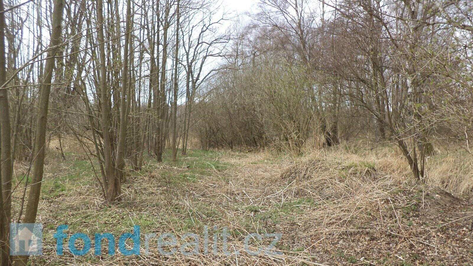 Prodej pozemku 19 035 m² – fotografie 2
