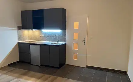 Pronájem bytu 1+kk 20 m²