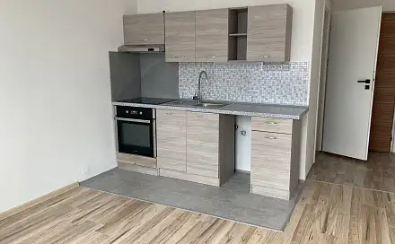 Pronájem bytu 1+1 36 m², Kyjická, Chomutov