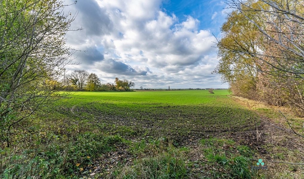 Prodej komerčního pozemku 24 162 m², Libenice – náhled fotky 3