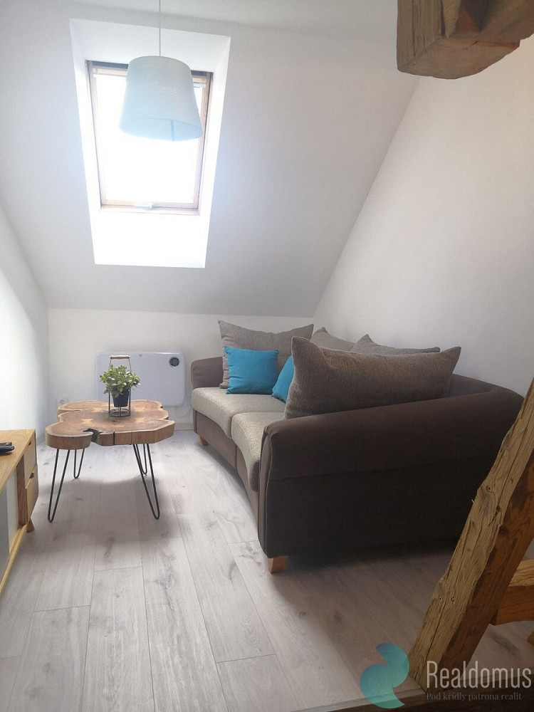 Pronájem bytu 1+kk 33 m² — photo 3