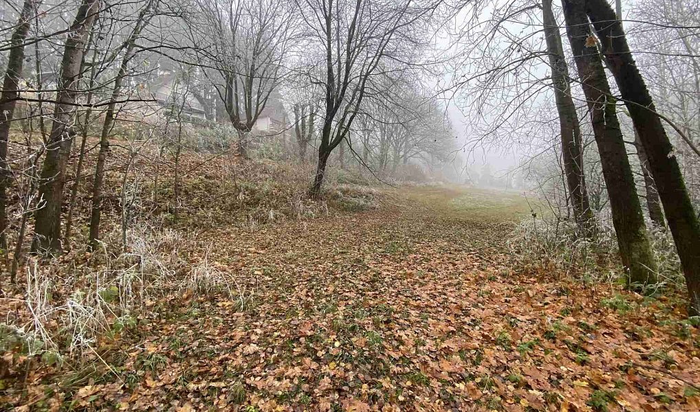 Prodej stavebního pozemku 1 210 m², Stará Paka – náhled fotky 3