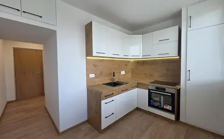 Pronájem bytu 1+1 40 m²