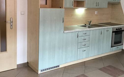 Pronájem bytu 2+kk 41 m², Luční, Plzeň - Severní Předměstí