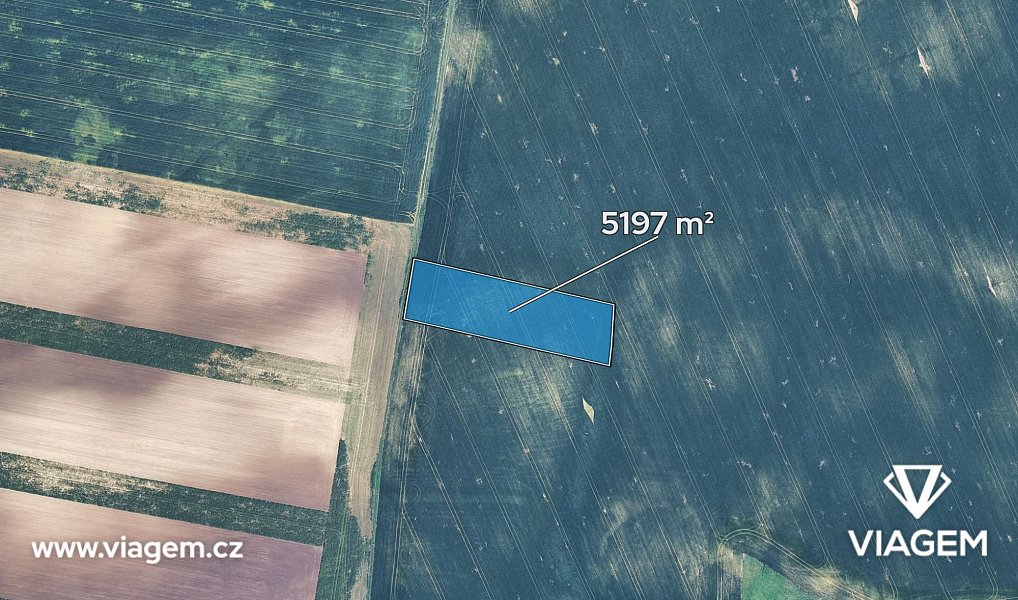 Prodej pole 1 732 m², Velké Němčice – náhled fotky 2