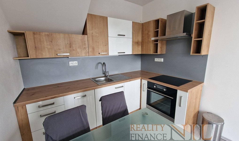 Pronájem bytu 2+kk 50 m², Město Touškov – náhled fotky 4