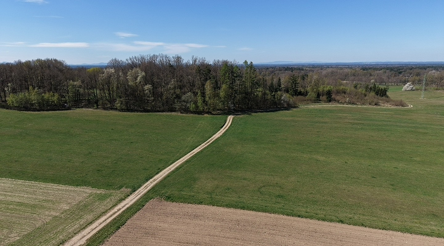 Prodej lesa 360 000 m² — photo 4