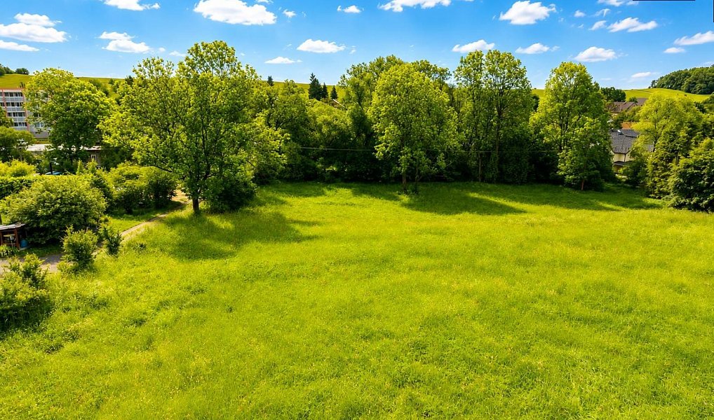Prodej stavebního pozemku 7 007 m², Razová – náhled fotky 7