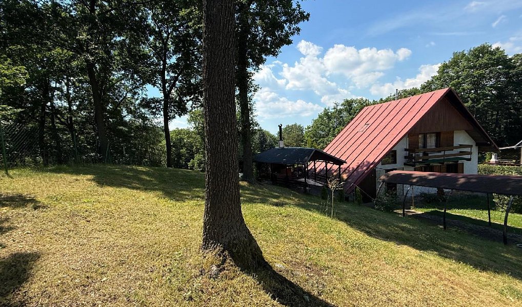 Prodej chaty/chalupy 124 m² s pozemkem 1 318 m², Bořislav – náhled fotky 6