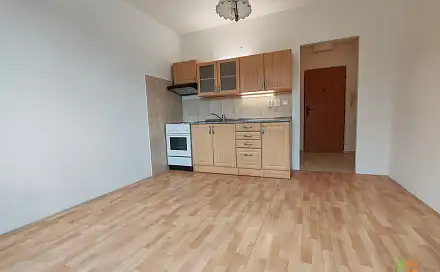 Pronájem bytu 1+1 36 m², 5. května, Český Krumlov - Plešivec
