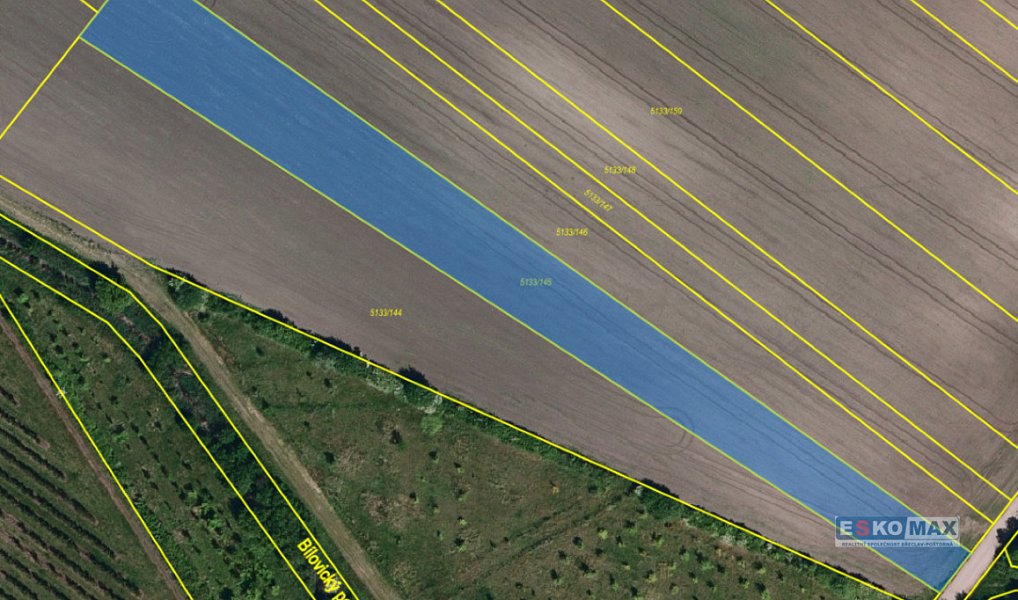 Prodej pole 4 600 m², Velké Bílovice – náhled fotky 2