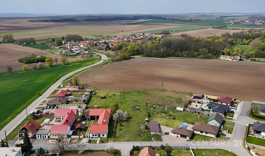 Prodej stavebního pozemku 2 756 m², Hostěradice – náhled fotky 6