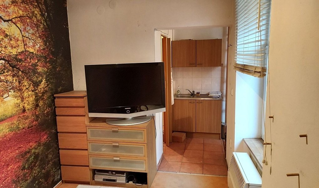 Prodej bytu 1+1 19 m², Prostějov – náhled fotky 2