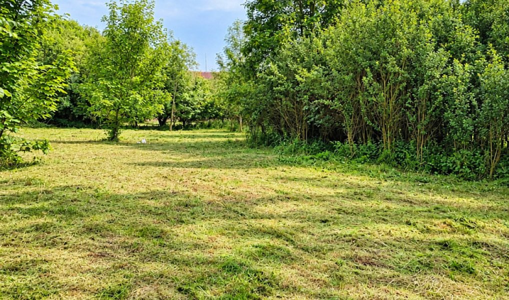Prodej stavebního pozemku 1 115 m², Bor – náhled fotky 4