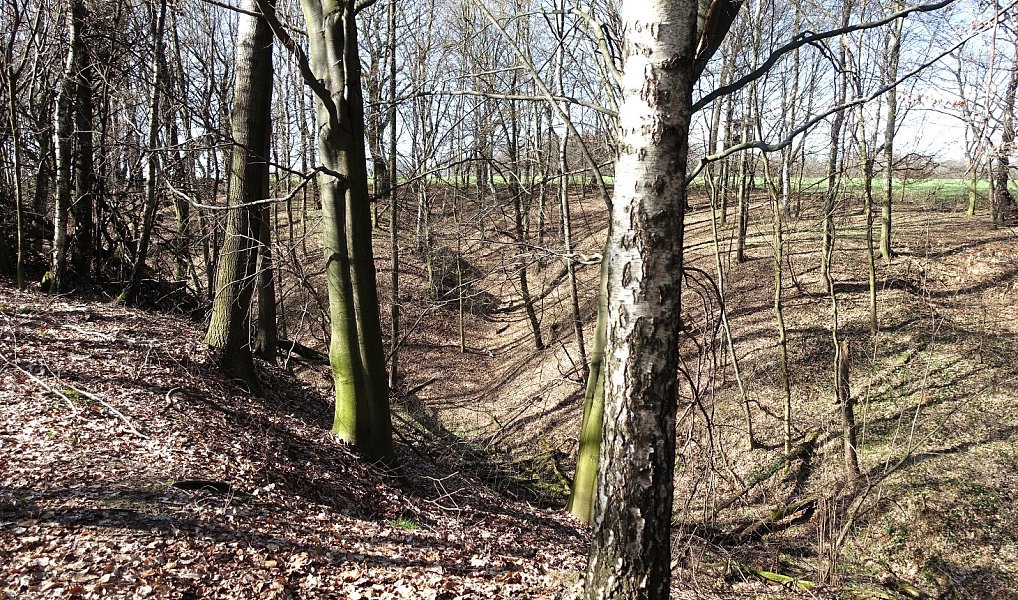 Prodej louky 6 013 m², Bohumín – náhled fotky 9