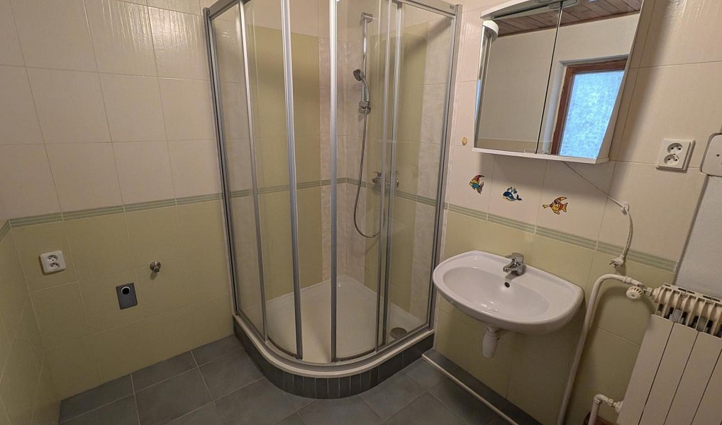 Prodej domu 245 m² s pozemkem 328 m², Mostkovice – náhled fotky 14
