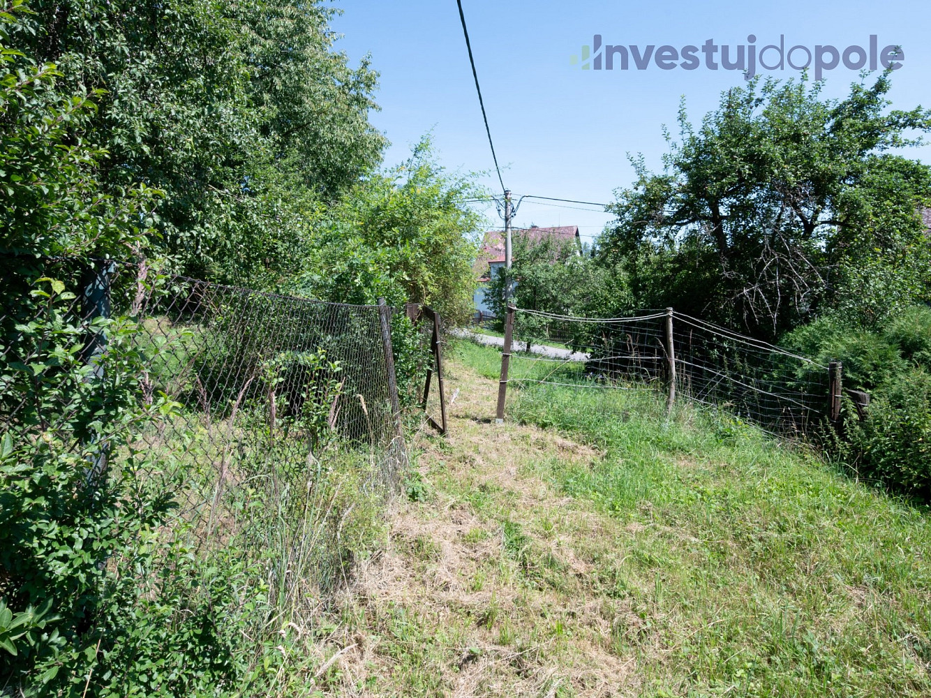 Prodej louky 2 240 m² – fotografie 3