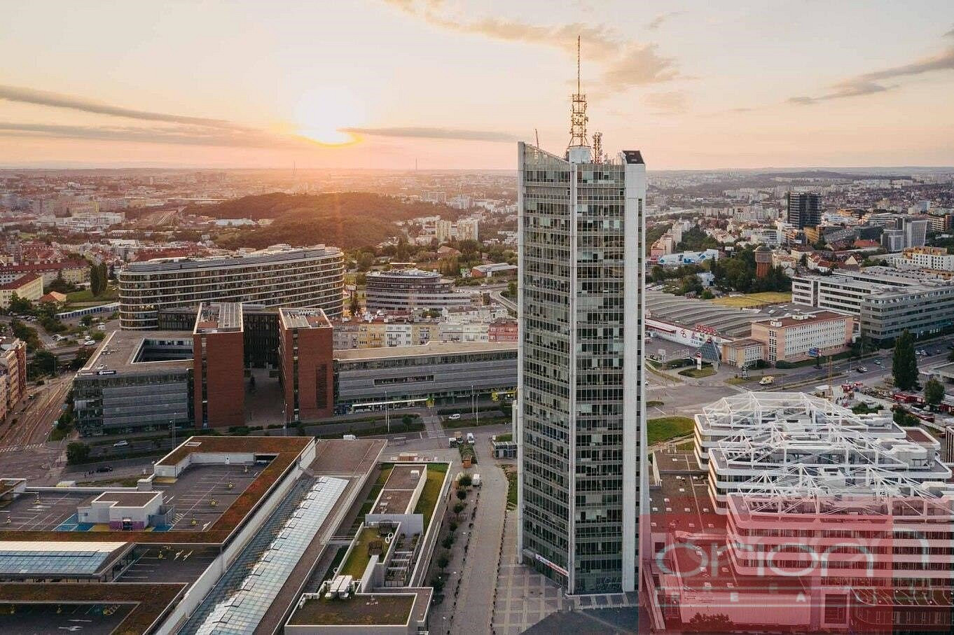 Pronájem kanceláře 25 m² – fotografie 2