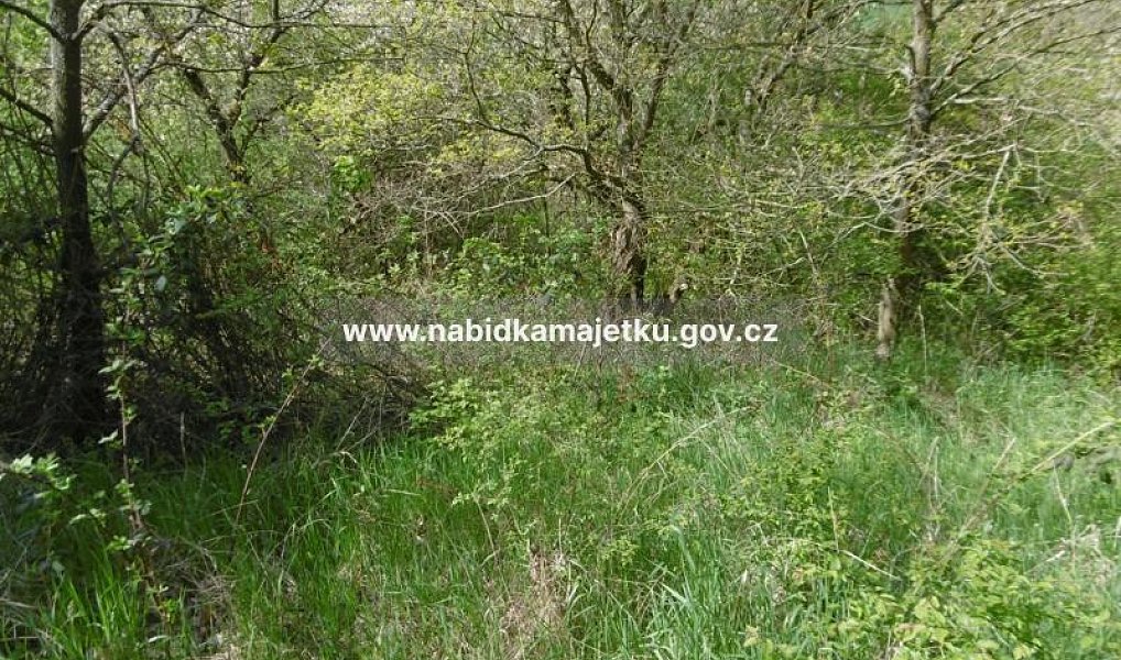 Prodej zahrady 5 503 m², Kostelec nad Černými lesy – náhled fotky 5