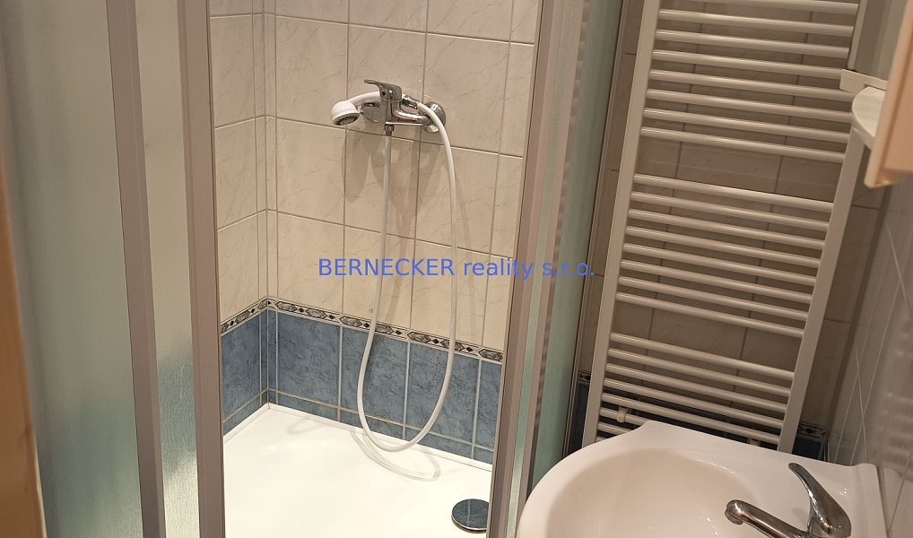 Pronájem bytu 1+1 41 m², Hradec Králové – náhled fotky 4