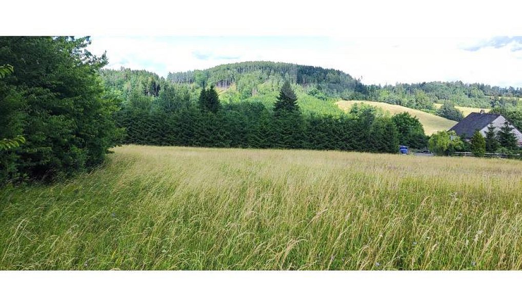 Prodej stavebního pozemku 1 437 m², Dolní Lánov – náhled fotky 3