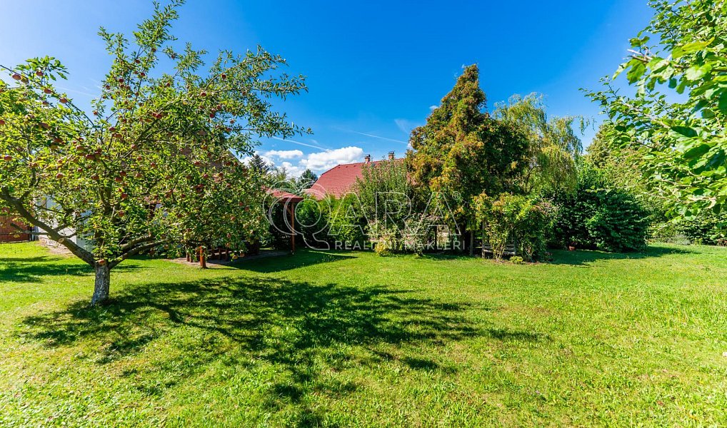Prodej domu 180 m² s pozemkem 2 065 m², Velký Chlumec – náhled fotky 11