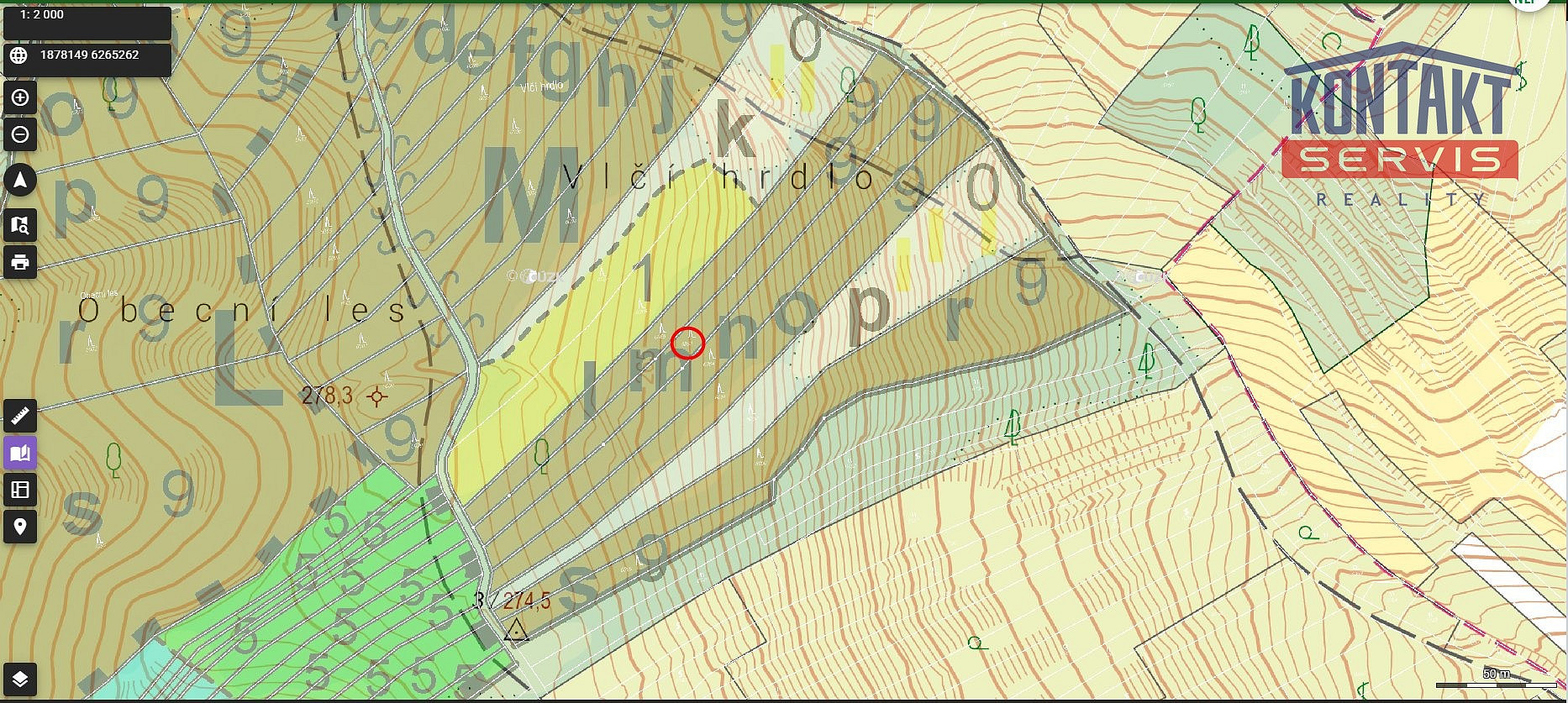 Prodej lesa 2 800 m² — photo 3