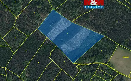 Prodej lesa 24 923 m², Jankovice - Kozašice, okres Pardubice