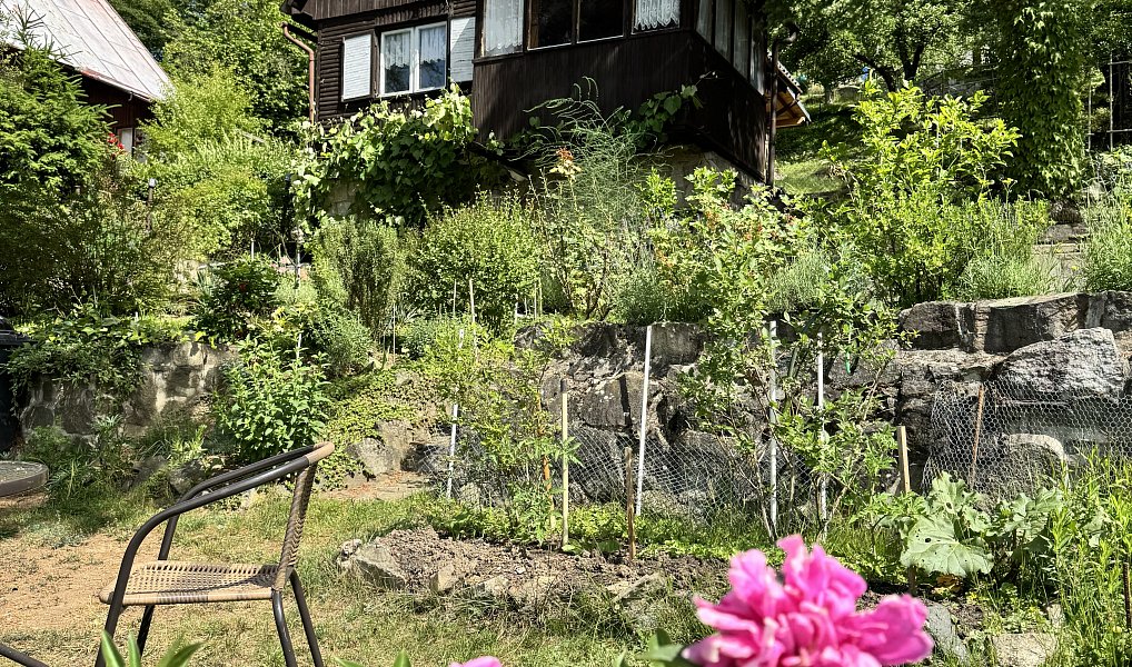Prodej chaty/chalupy 48 m² s pozemkem 348 m², Kaliště – náhled fotky 2