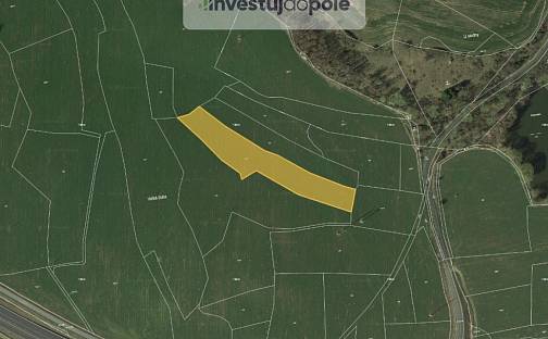 Prodej pole 8 097 m², Drhovle - Mladotice, okres Písek