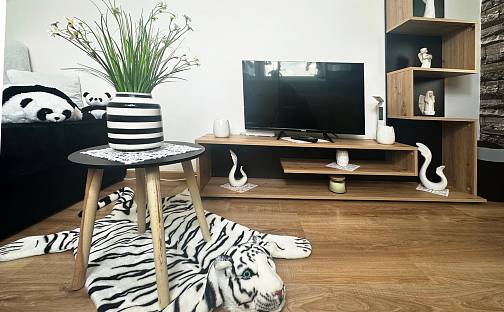 Prodej bytu 2+1 54 m², Dolní, Světlá nad Sázavou, okres Havlíčkův Brod