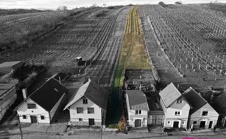 Prodej pozemku 2 567 m², Bořetice, okres Břeclav