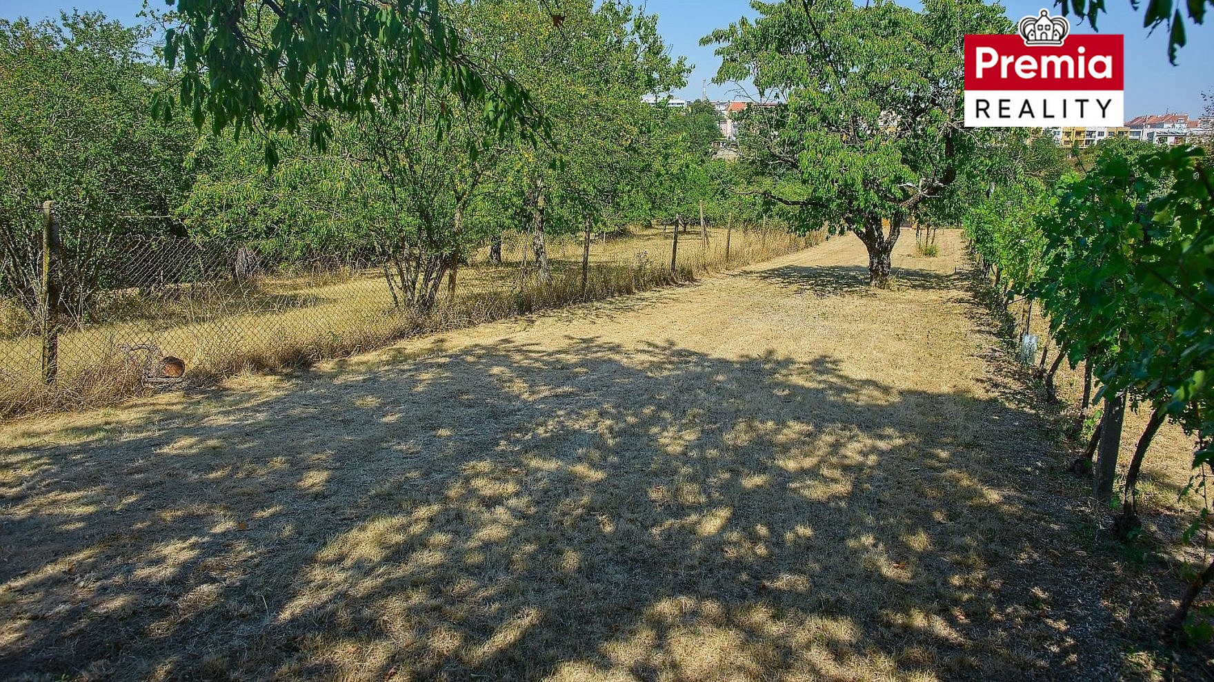 Prodej zahrady 903 m² – fotografie 3
