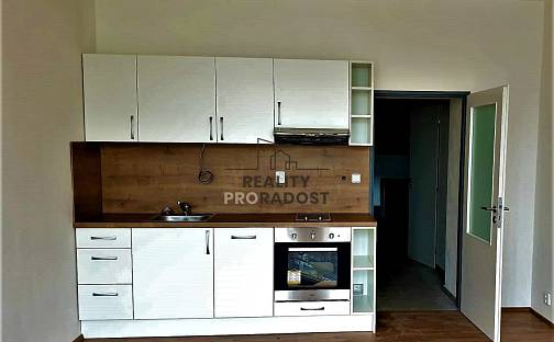 Pronájem bytu 1+kk 37 m², Vlhká, Brno - Zábrdovice
