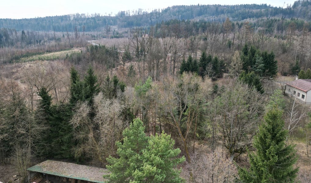 Prodej komerčního pozemku 12 667 m², Bílá Třemešná – náhled fotky 6