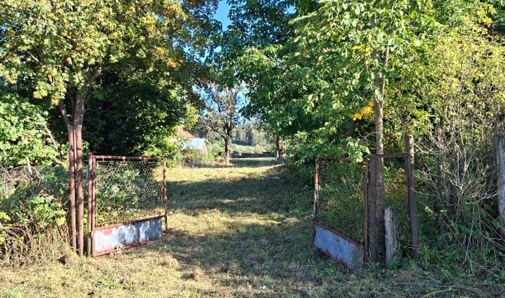 Prodej stavebního pozemku 1 474 m², Světlík – náhled fotky 4