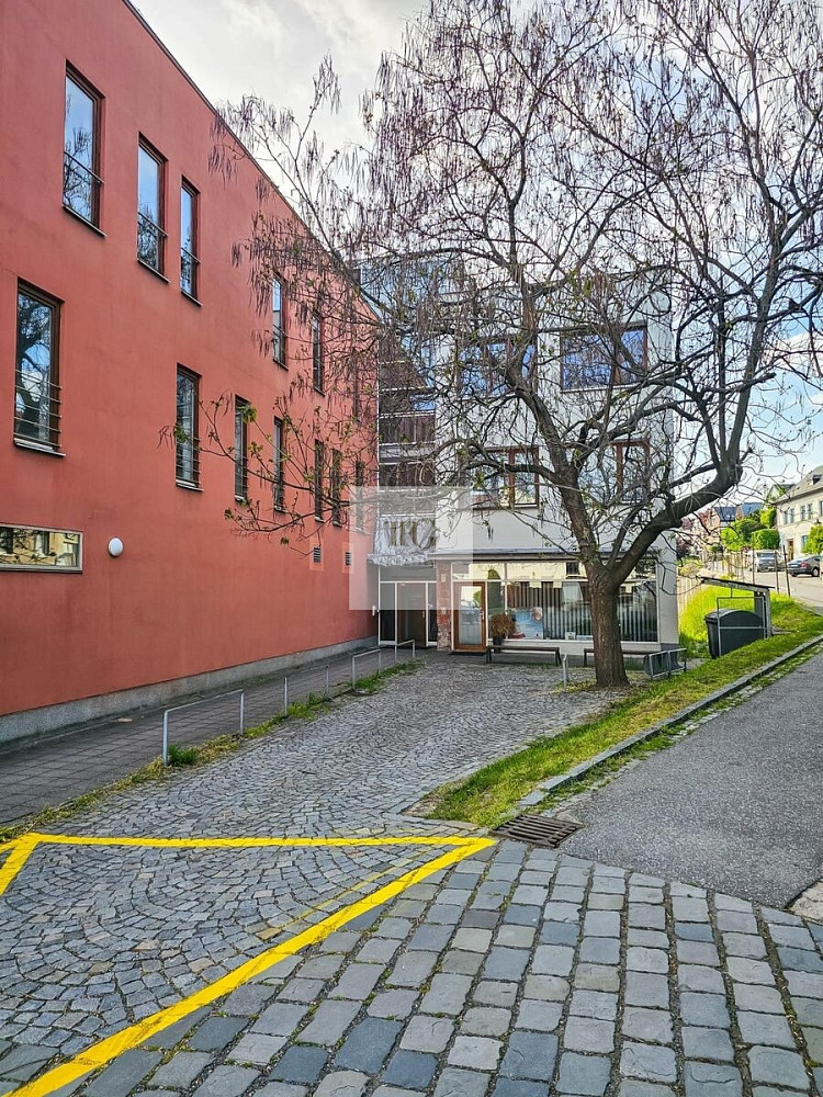Fotka 17 z 19