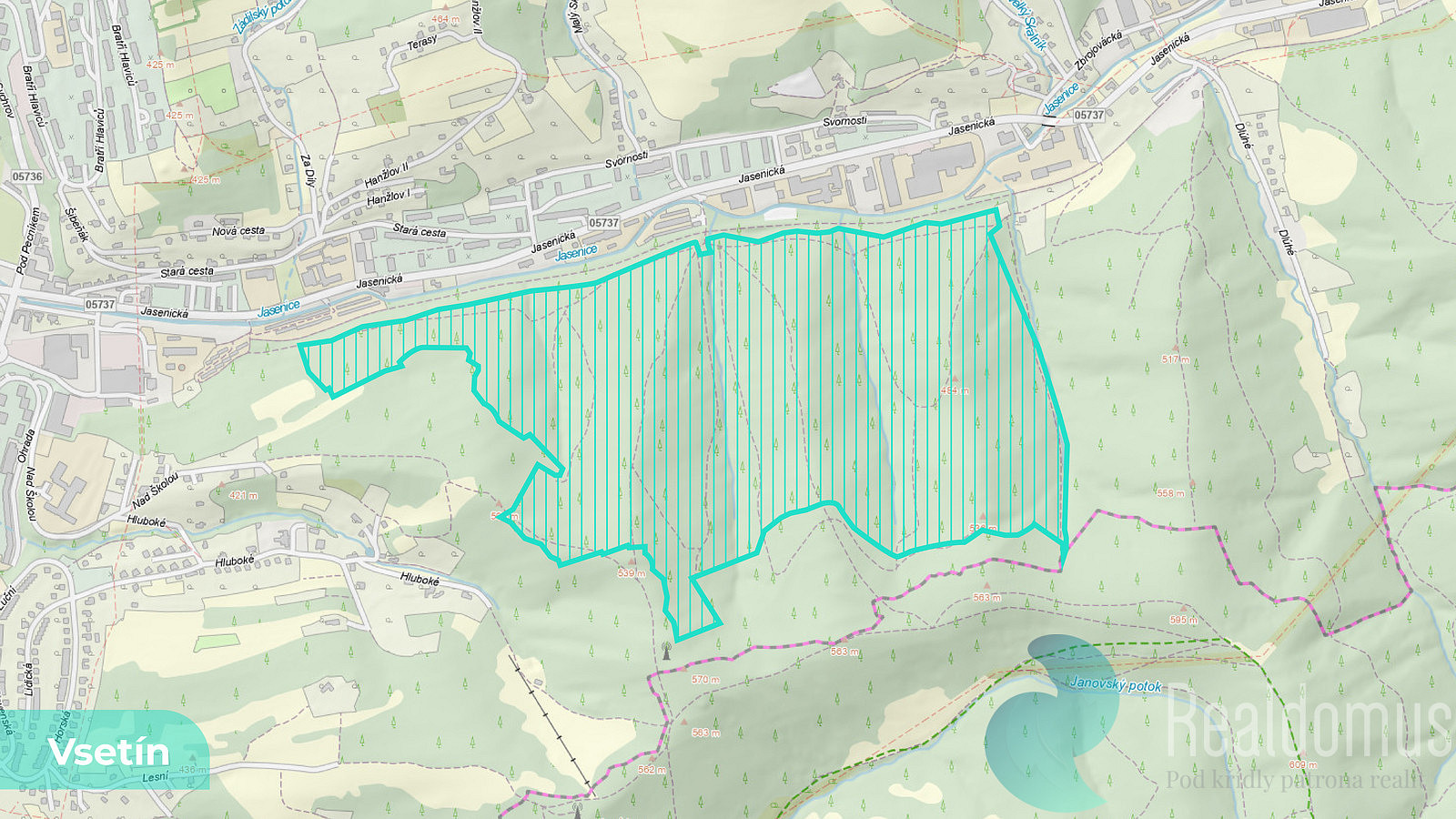 Prodej lesa 12 054 m²