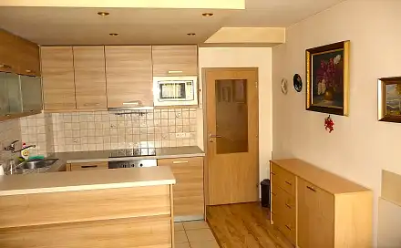 Prodej bytu 1+1 44 m²