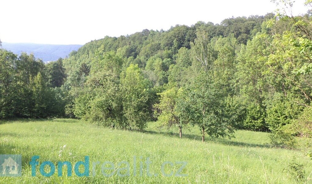 Prodej pole 15 764 m², Děčín – náhled fotky 3