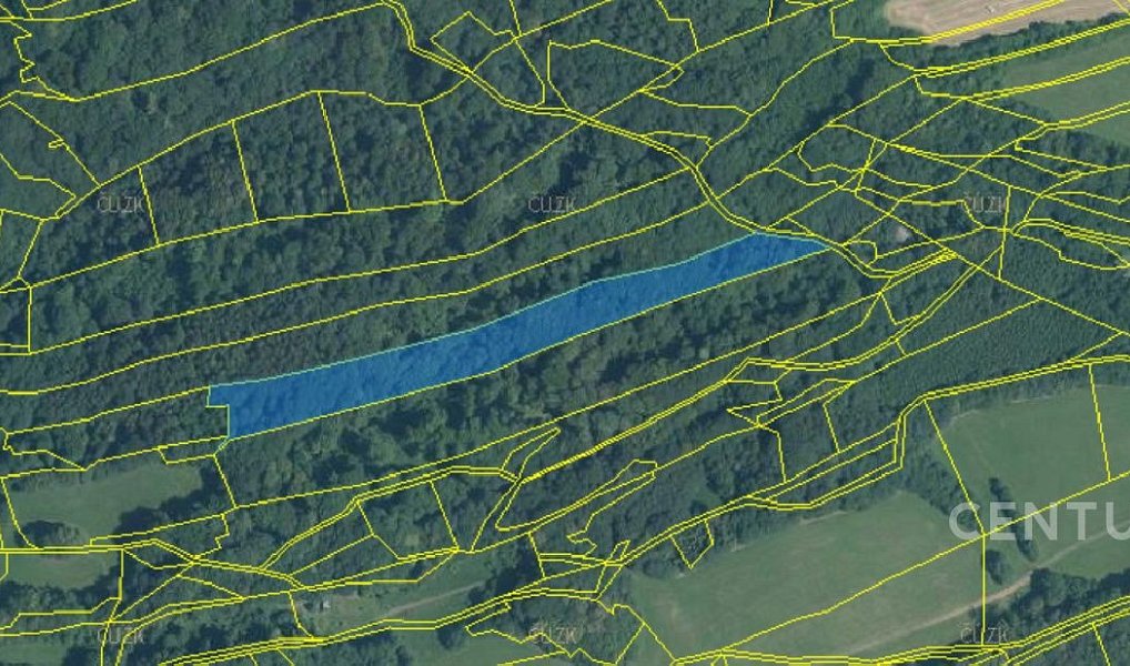 Prodej lesa 40 228 m², Nový Jičín – náhled fotky 16