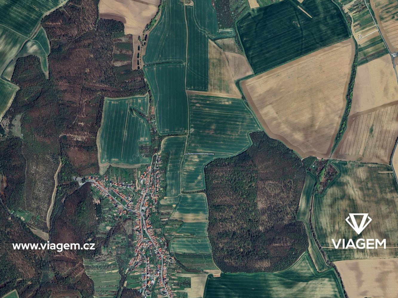 Prodej pole 1 645 m² – fotografie 3