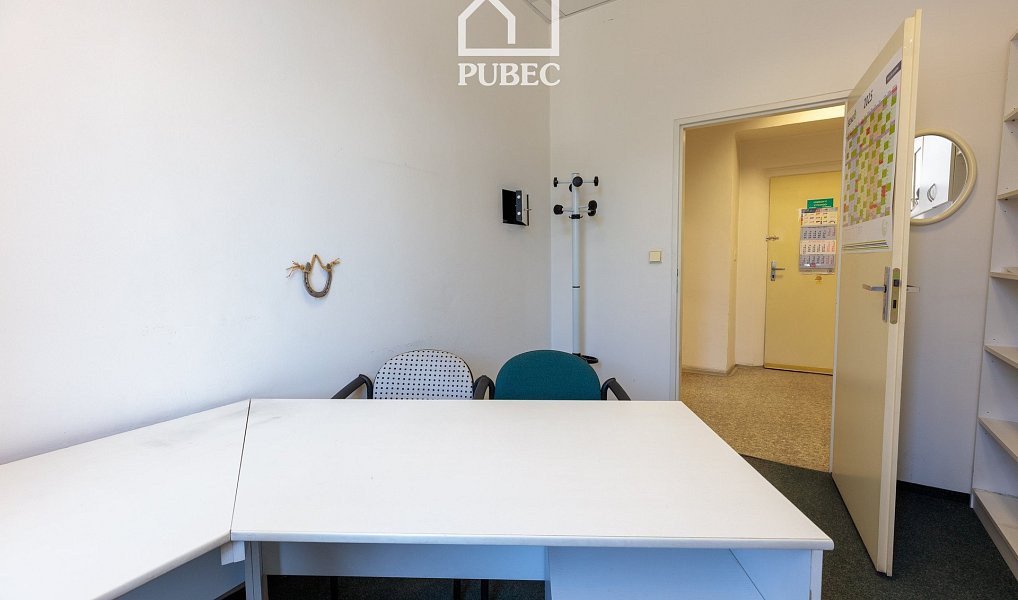 Pronájem obchodních prostor 132 m², Plzeň – náhled fotky 9
