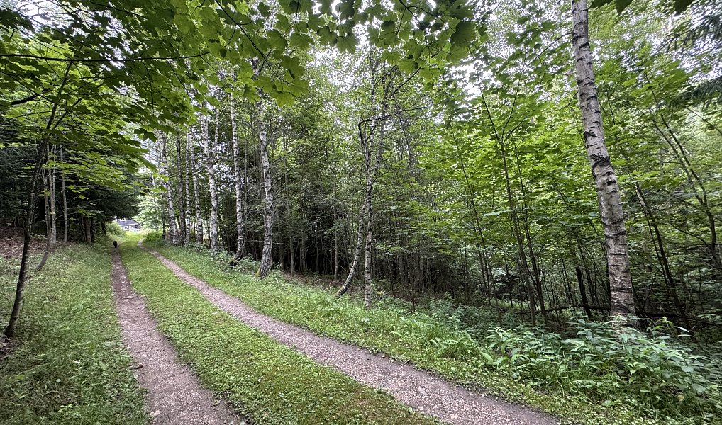 Prodej komerčního pozemku 2 032 m², Malá Úpa – náhled fotky 5