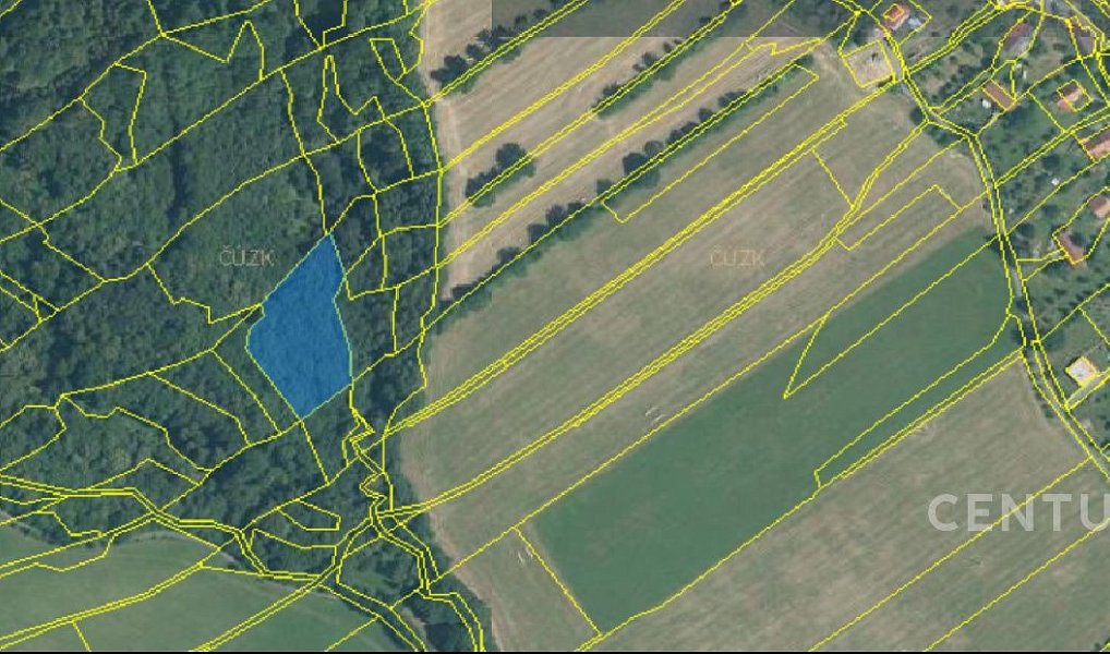Prodej lesa 40 228 m², Nový Jičín – náhled fotky 7
