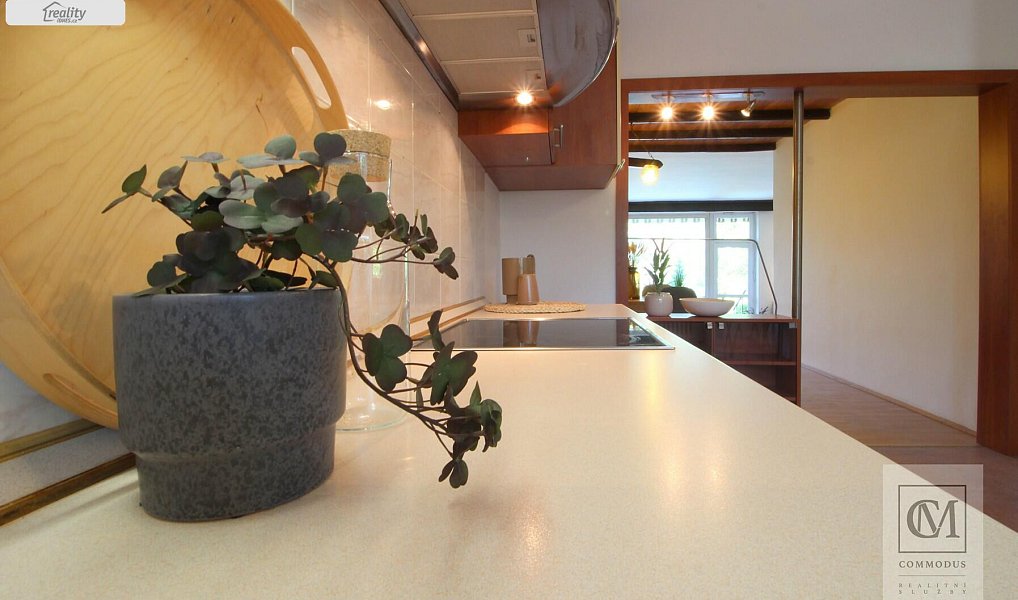 Prodej domu 237 m² s pozemkem 195 m², Brno – náhled fotky 7