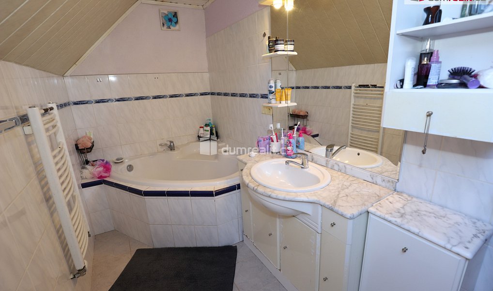 Prodej domu 330 m² s pozemkem 263 m², Habartov – náhled fotky 14